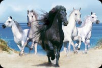 Black Horse Leading The Way Stationery, Backgrounds