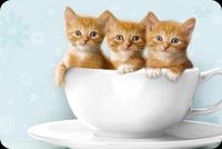 3 Kittens In A Bowl Stationery, Backgrounds