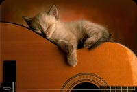 Kitten Sleeping On Guitar Stationery, Backgrounds