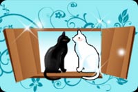 Black And White Cat Sitting On Window Stationery, Backgrounds