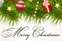 Christmas Card Wishes Stationery, Backgrounds