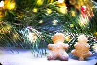 Christmas Tree & Cookies Stationery, Backgrounds