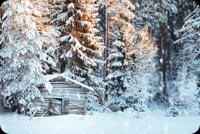 Snowfall Stationery, Backgrounds