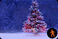 Animated Snowing Christmas Tree Stationery, Backgrounds