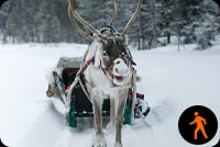 Animated: Reindeer Pulling Snow Sled Stationery, Backgrounds