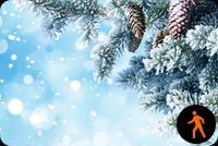 Animated: Winter Snow Branches Stationery, Backgrounds