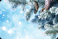 Winter Snow Branches Stationery, Backgrounds