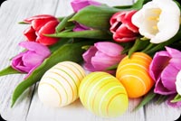 Colorful Easter Flowers Tulips, Eggs Decoration Stationery, Backgrounds