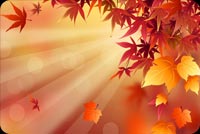 Automn Leaves And The Sun Stationery, Backgrounds