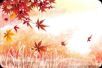 Sunlight Fills The Autumn Setting Stationery, Backgrounds