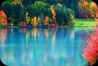 Enjoy The Autumn Stationery, Backgrounds