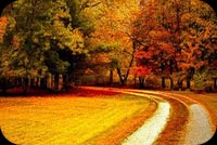 Beautiful Autumn For You Stationery, Backgrounds