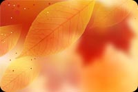 Fall Leaves Background Border Stationery, Backgrounds