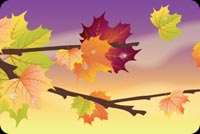 Beautiful Autumn Stationery, Backgrounds