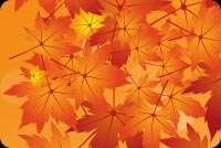 Autumn As Special As You Are Stationery, Backgrounds