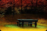 A Bench At A Park Stationery, Backgrounds