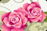 2 Roses In Vibrant Pink  Stationery, Backgrounds