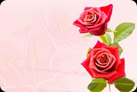 Red Roses At Its Best Stationery, Backgrounds