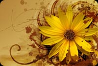 Yellow Flower And Brown Swirls Stationery, Backgrounds