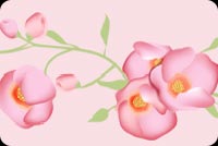 Pastel Pink Flowers Stationery, Backgrounds