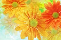 Yellow And Orange Flowers Stationery, Backgrounds