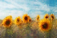 Amazing Sun Flowers Paiting Stationery, Backgrounds