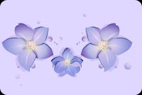 3 Blue Lovely Flowers Stationery, Backgrounds