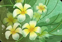 Art Green & Yellow Flowers Stationery, Backgrounds