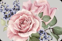 Beautiful Watercolor Rose Flower Stationery, Backgrounds