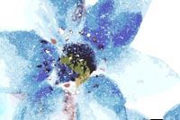 Blue Art Flower Stationery, Backgrounds