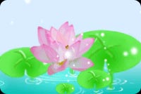 Pink Floating Water Lily  Stationery, Backgrounds