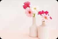 White Vase With Vibrant Flowers Stationery, Backgrounds