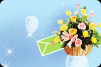 Basket Of Flowers With Card Stationery, Backgrounds