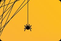 Spider Trick Or Treat Stationery, Backgrounds