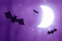 Scary Bats Stationery, Backgrounds