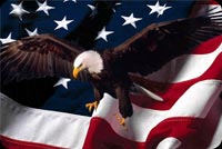 American Flag And Eagle Stationery, Backgrounds