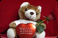 Teddy Bear, Rose And Chocolates Stationery, Backgrounds