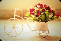 Bouquet Of Red Roses In A Bike Stationery, Backgrounds