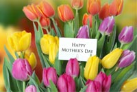 Wish Happy Mother's Day Stationery, Backgrounds