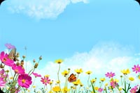 Colorful Flowers And Blue Skies Stationery, Backgrounds