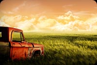 Old Truck And Long Grass Stationery, Backgrounds