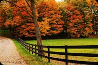 Beautiful Fall Country Fence Stationery, Backgrounds