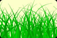 Green Blades Of Grass Stationery, Backgrounds