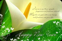 Happy New Year Flower Stationery, Backgrounds