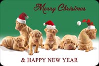 The Dogs Say Happy New Year Stationery, Backgrounds