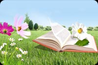 Book, Flowers And Grass Stationery, Backgrounds