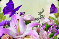 Purple Butterflies & Flowers Stationery, Backgrounds