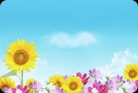 Vibrant Color Of Flowers Stationery, Backgrounds