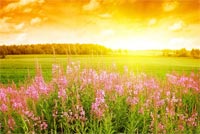 Summer Country Sunset Stationery, Backgrounds