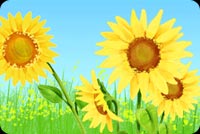 Sunflowers At Full Bloom Stationery, Backgrounds